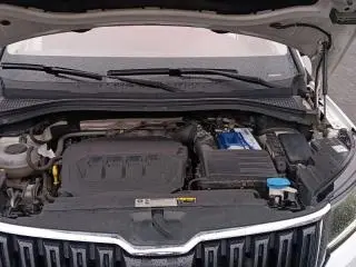 Skoda Kodiaq 2020 - 10