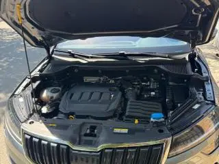Skoda karoq - 6