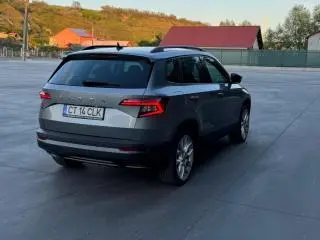Skoda karoq - 10