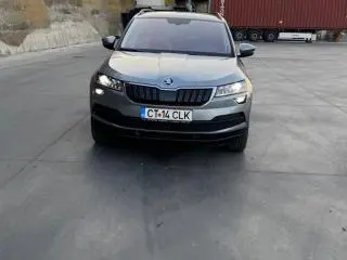 Skoda karoq - 14