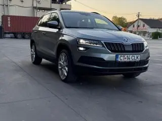 Skoda karoq - 16
