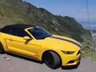 Ford Mustang Cabrio 2,3 EcoBoost Aut 317CP an 2016