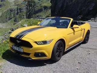 Ford Mustang Cabrio 2,3 EcoBoost Aut 317CP an 2016 - 11