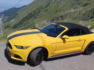 Ford Mustang Cabrio 2,3 EcoBoost Aut 317CP an 2016 - 14