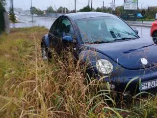 Volkswagen Beetle an 2000