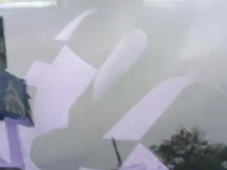 Volkswagen Beetle an 2000 posibilitate rate!!! - 10