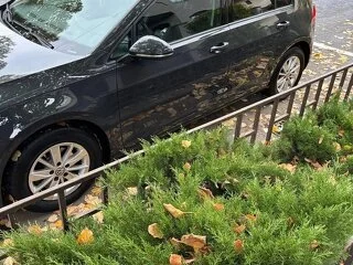 vand Volkswagen Golf 1.0 TSI Trendline, 2020,  13.200 EUR