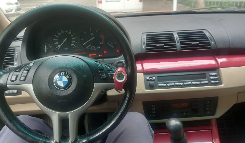 vand BMW X5, model american plin